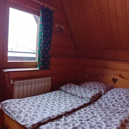 Drewniany Apartment Witow (Tatra)